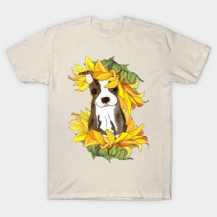 Sunshine Puppy T-Shirt
